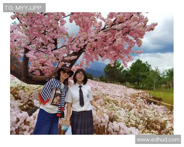 探索布莱克尼的魅力与历史：一段关于文化与自然的奇妙旅程