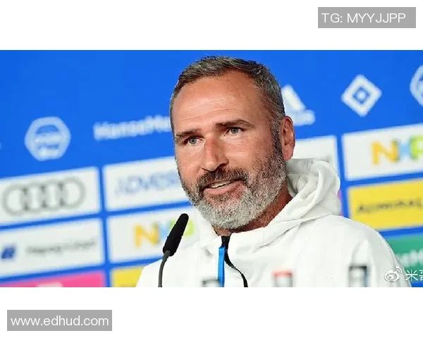 汉堡对阵帕德柏精彩对决分析及赛前预测展望 汉堡对阵帕德柏精彩对决分析及赛前预测展望