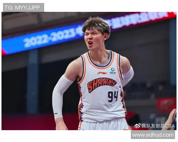 王哲林在篮球赛场上的崛起与挑战解析,展望未来的职业生涯发展路径 王哲林在篮球赛场上的崛起与挑战解析,展望未来的职业生涯发展路径