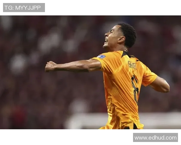 加克波：从新星崛起到足坛巨星的华丽转身与未来展望