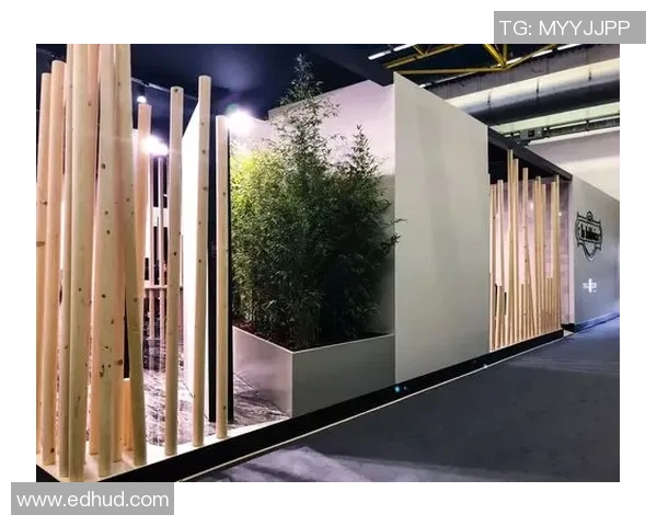 加莱诺的艺术世界探索与人文精神的深刻交融之旅