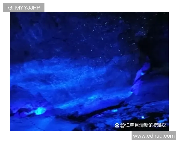 恩佐的奇幻冒险之旅探索未知世界的勇气与智慧